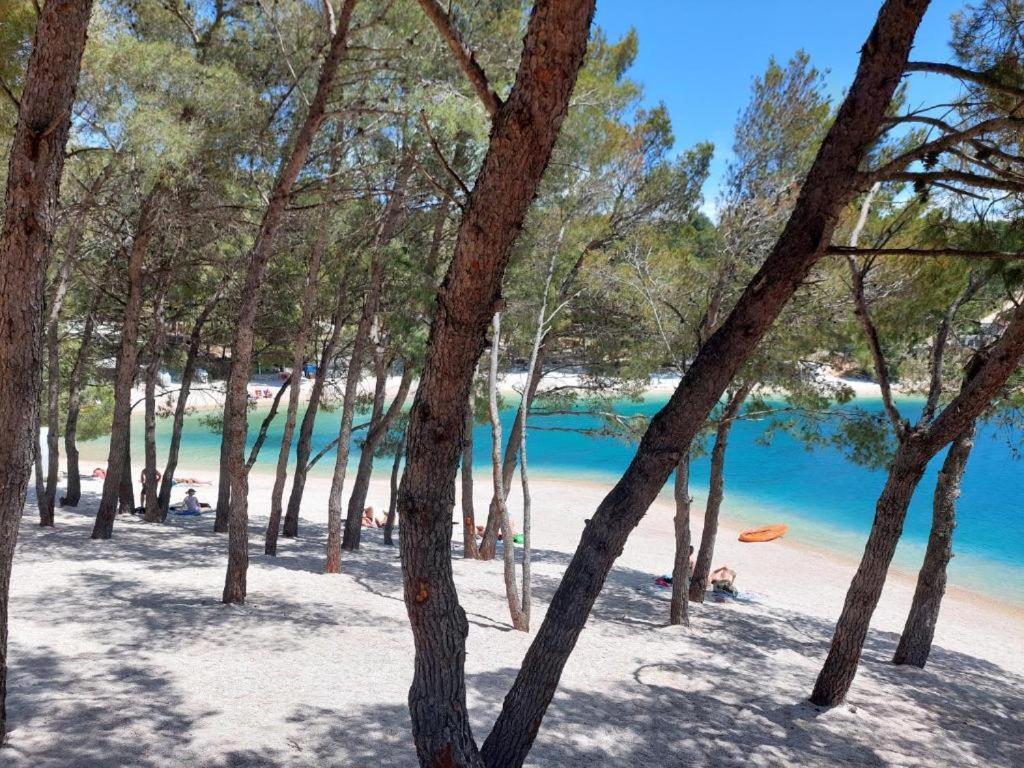 Luxury Mobile Home Pretty Green - Premium - Oaza Mira Resort -50 M From The Beach Drage Buitenkant foto